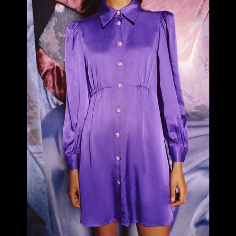 ZARA PURPLE BUTTON UP MINK DRESS